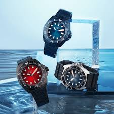 Professional Dive Watch